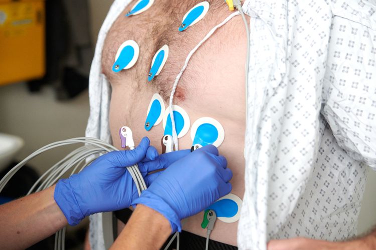 Electrophysiology Studies (EPS) | Tests & Scans | HCA UK